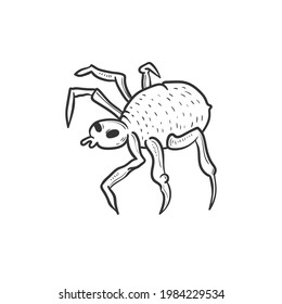 Araña. Conjunto de elementos de diseño de Halloween. Dibujar caricaturas a mano. Ilustración vectorial. Plantilla de publicación de maderas sociales