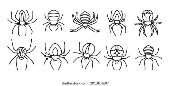 Spider Halloween doodle set. Spooky scary spiders dangerous tarantula cartoon collection. Creepy decoration for horror design. Party Halloween venomous spider or dangerous arachnid. Vector