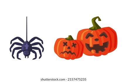 Spider and halloween scary pumpkins. Witchcraft attributes, halloween objects cartoon vector illustration