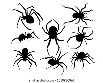 Spider Hand Drawn Silhouette Illustration 