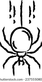 Spider hand drawn vector illustration