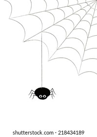 SPIDER HANGING FROM A COBWEB