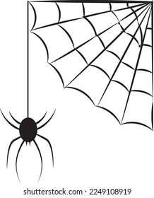 Spider hanging from cobweb illustration on white background professionally done