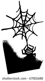 Spider hanging down web