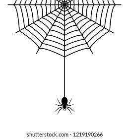 Spider hanging on the cobweb thread. Vector illustration.