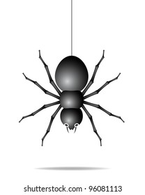 Spider hanging on a gossamer thread