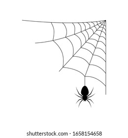 Amazing spider silk: Super-elastic proteins key to spider web's  stretchiness