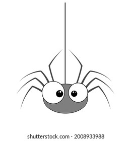 Spider hanging on a spider web, vector illustration.A cute  spider isolated on a white background.