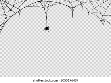 Spider hanging from spiderwebs isolated png or transparent texture, Halloween party background,blank space for text,element template for poster,brochures, online advertising,vector illustration 