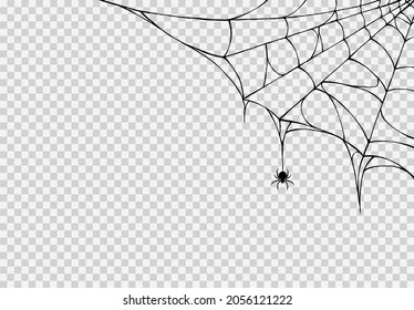 Spider hanging from spiderwebs isolated png or transparent texture, Halloween party background,blank space for text,element template for poster,brochures, online advertising,vector illustration 