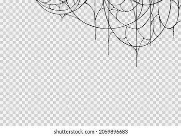 Spider hanging from spiderwebs isolated png or transparent texture, Halloween party background,blank space for text,element template for poster,brochures, online advertising,vector illustration 