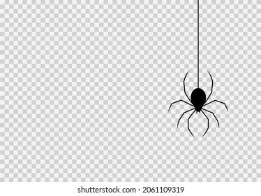 Spider hanging from spiderwebs isolated png or transparent texture, Halloween party background,blank space for text,element template for poster,brochures, online advertising,vector illustration 