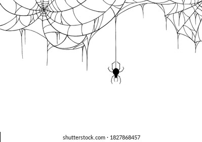 Spider  hanging from spiderwebs on white   background, Hallowed banner isolated on night background texture, vector illustration.