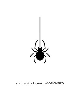 Spider hanging from web thread in natural environment