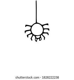 The spider hangs on the web. Halloween. Vector hand-drawn doodle illustration. Black and white outline