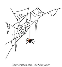 Spider hangs from a spider web. Torn corner cobweb and insect. Scary spiderweb of Halloween symbol. Hand drawn. Vector illustration isolated.