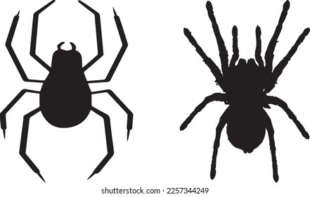 Spider, Happy Halloween, Halloween, Halloween Shirt, Scary Vibes, Halloween Vibes, Cut Files Cricut, Silhouette