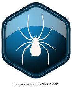 Spider Hexagonal Blue Emblem, Vector Illustration. 