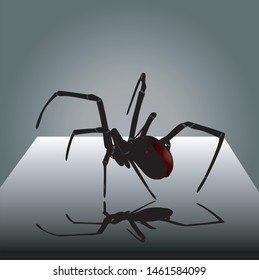Spider hunting for prey.