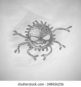 spider icon