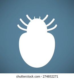 Spider icon