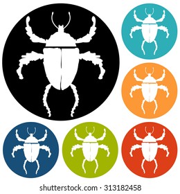 Spider icon