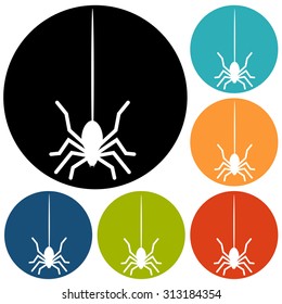Spider icon