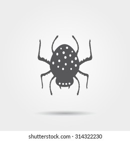 Spider icon
