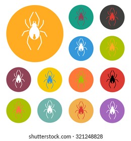 Spider icon