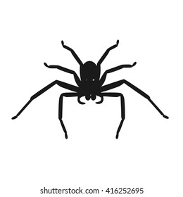 spider icon