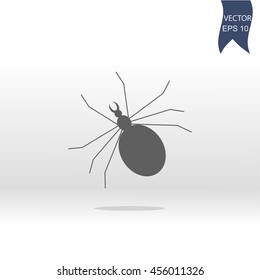 Spider icon