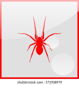 Spider icon.