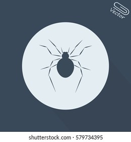 spider icon