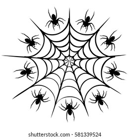 spider icon