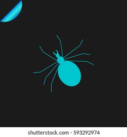 Spider icon