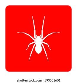 Spider icon.