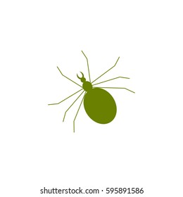 Spider icon