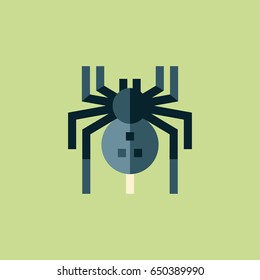 spider icon