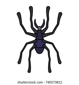 Spider icon