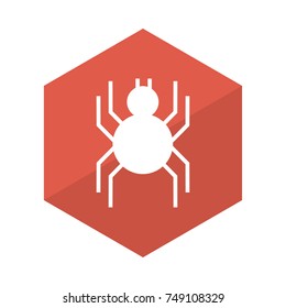   spider icon