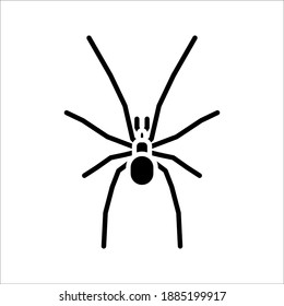 spider icon. arachnid vector. animals sign. vector illustration