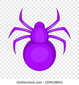 Spider icon. Cartoon illustration of spider vector icon for web