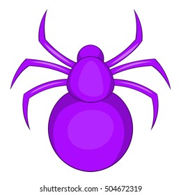 Spider icon. Cartoon illustration of spider vector icon for web