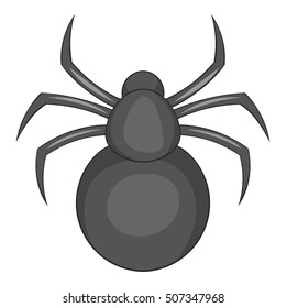 Spider icon. Cartoon illustration of spider vector icon for web
