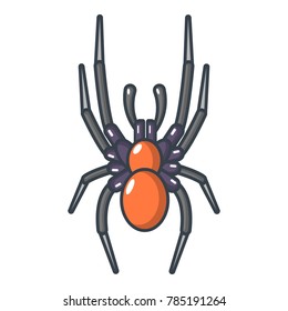 Spider icon. Cartoon illustration of spider vector icon for web