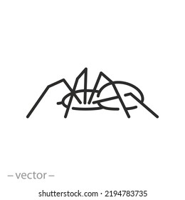 Spider Icon, Dangerous Or Venom Insect, Thin Line Symbol On White Background - Editable Stroke Vector Illustration