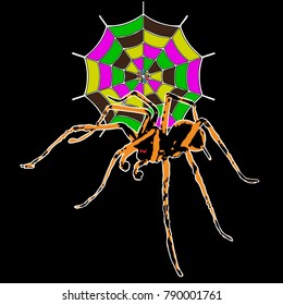Spider  Icon  Design