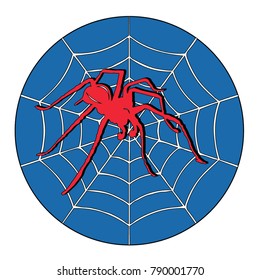 Spider  Icon  Design