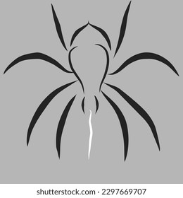 Spider icon design template and background. spider logo and vector.