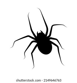 Spider icon design template illustration vector